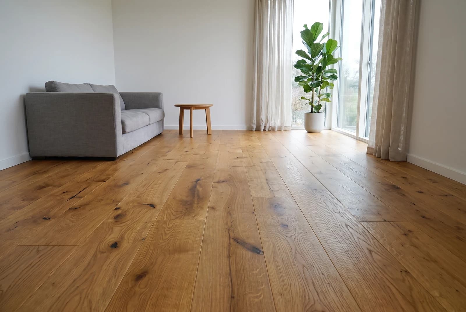 Oak Alabama in an interior