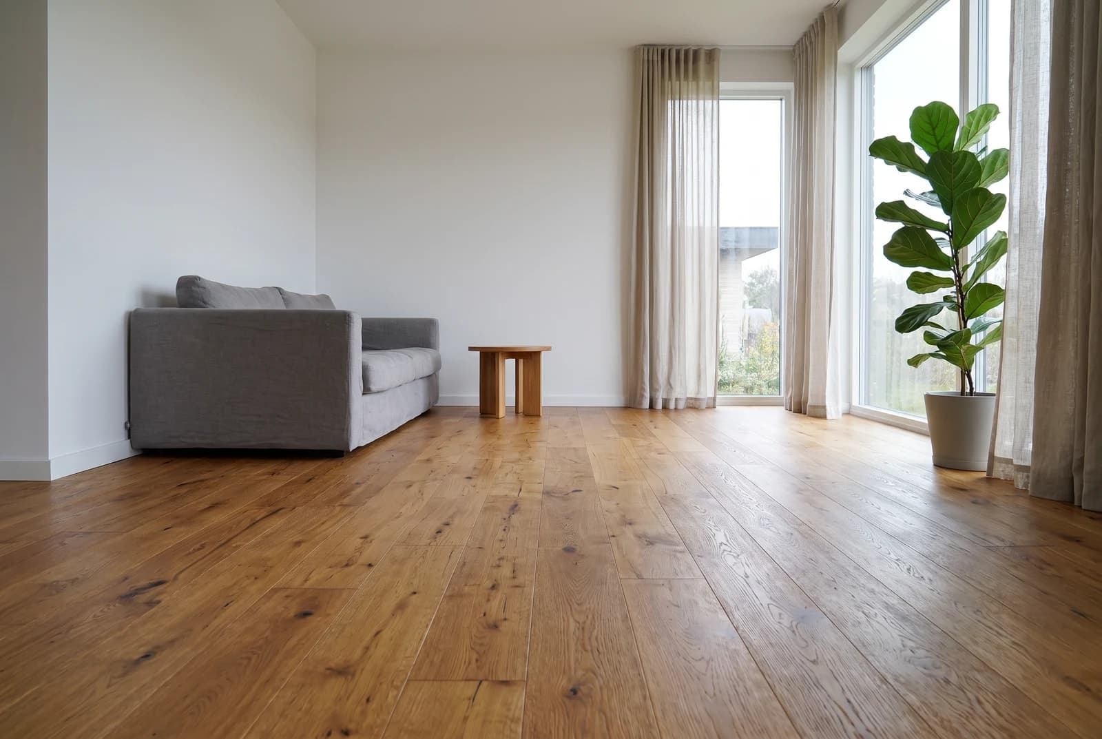 Oak Florida in an interior