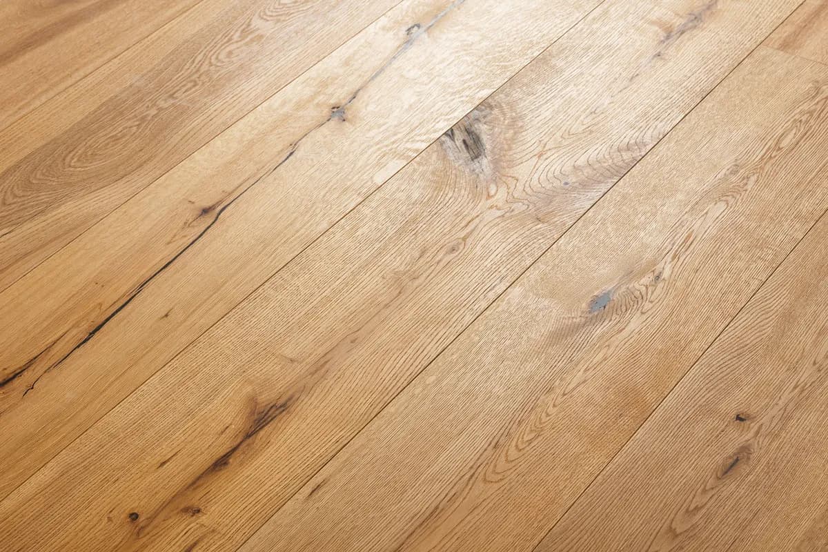 Oak Montana