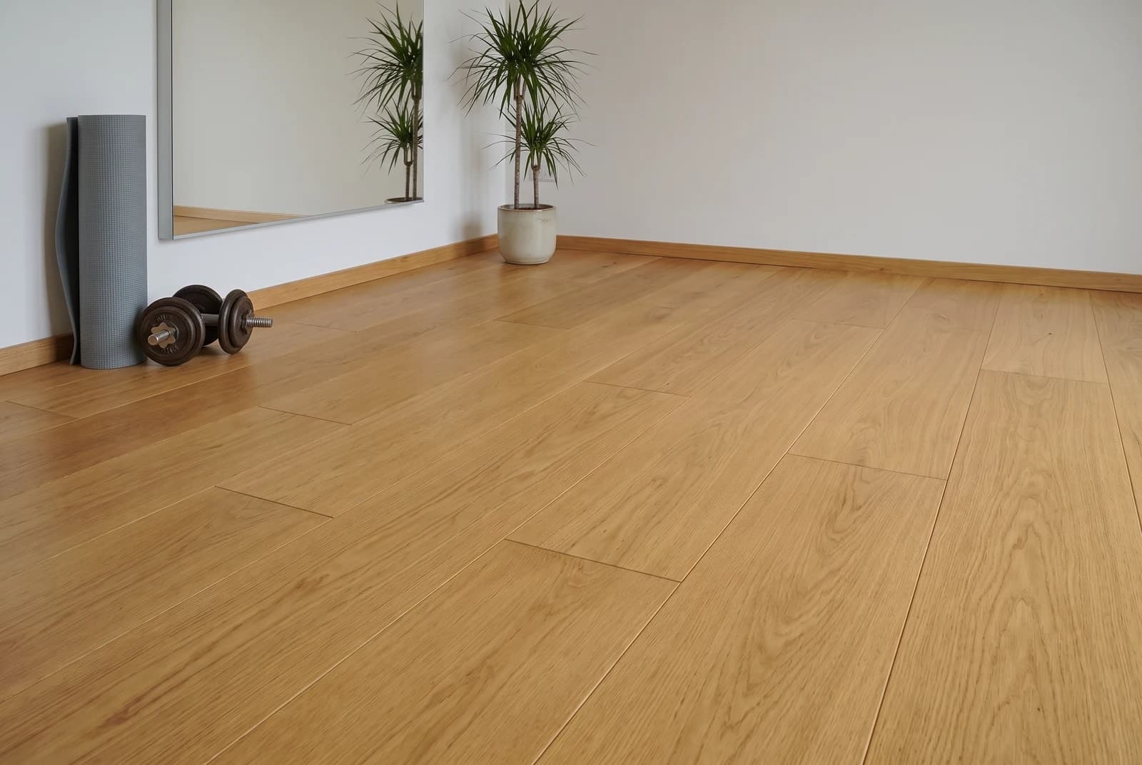 Oak Oakland in an interior