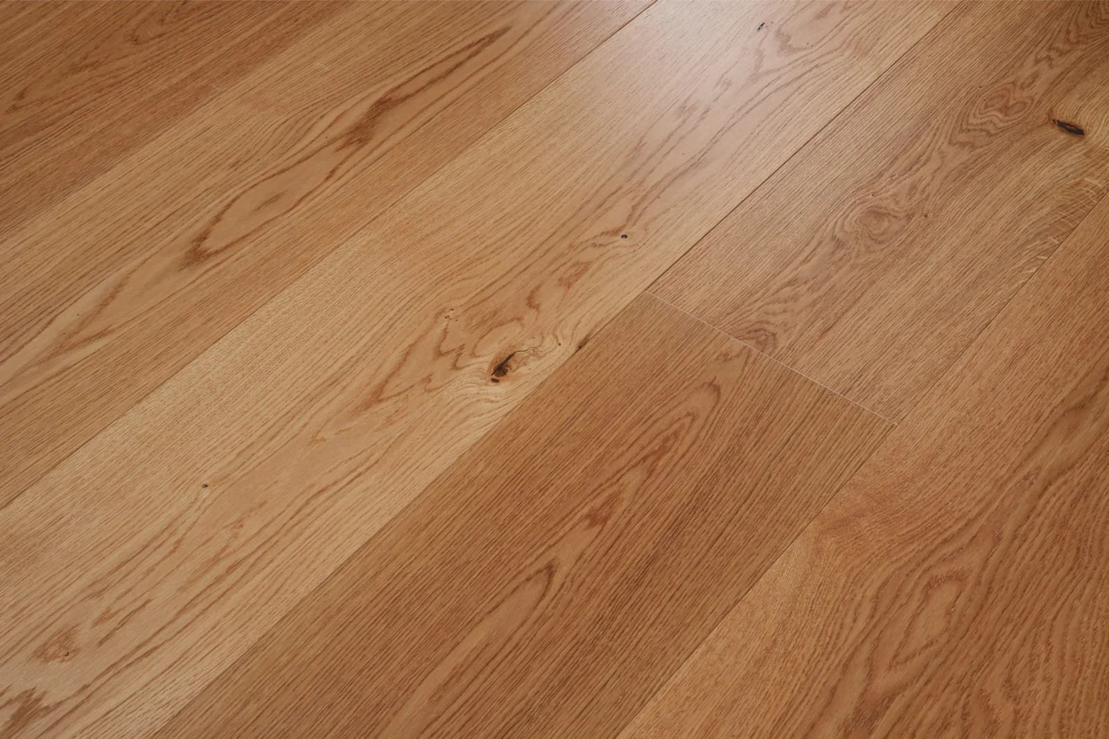 Oak Toronto