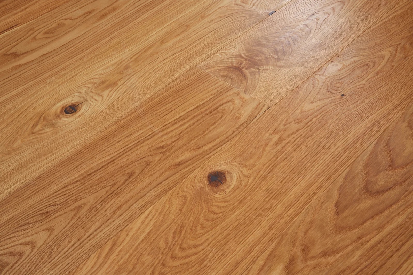 Oak Cordoba