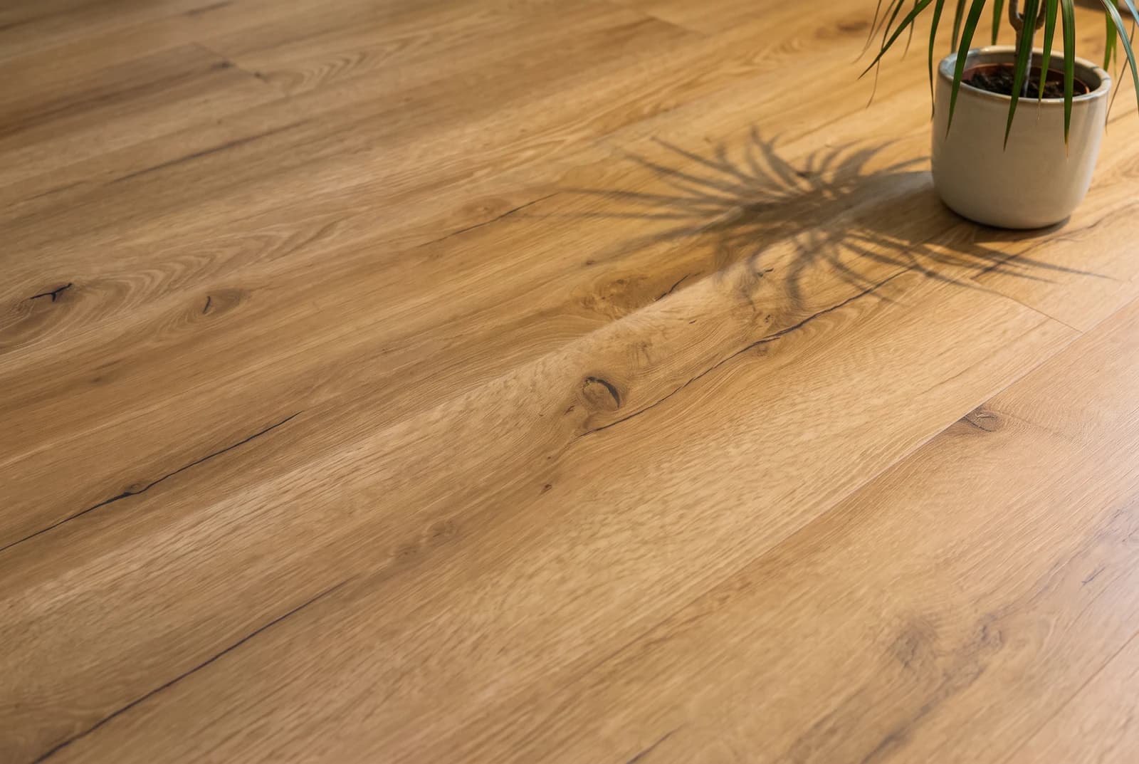 Glue-down vinyl Oak Valencia (Basic)